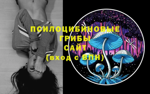 mdma Зеленокумск