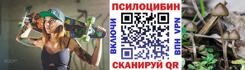 Купить закладки  Зерноград  Галлюциногенные грибы мухоморы 